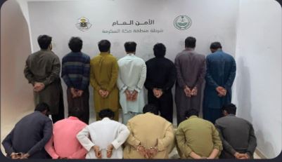 تحقيقات أمنية تكشف شبكة سرقة المواشي في الطائف