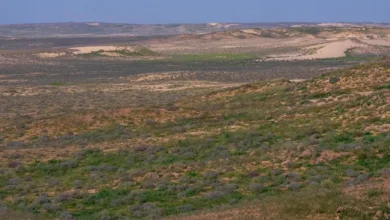 تحقيقات ميدانية حول ضبط مخالفات في محمية الملك عبدالعزيز الملكية