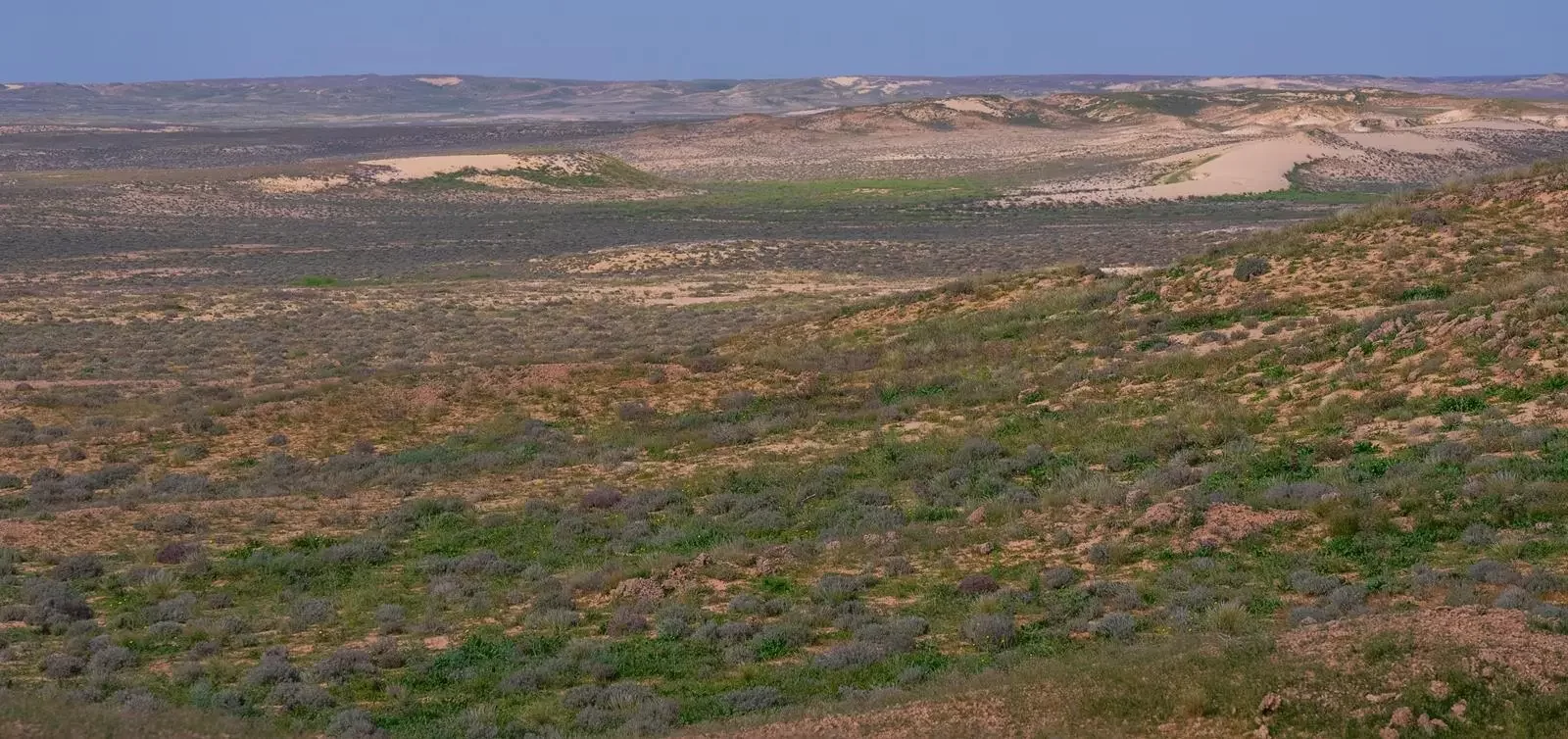 تحقيقات ميدانية حول ضبط مخالفات في محمية الملك عبدالعزيز الملكية