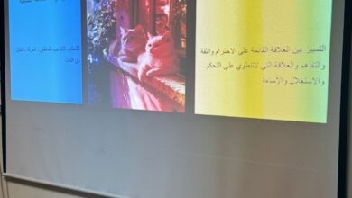 تعزيز الوعي بمخاطر العنف ضد المرأة عبر ورشة عمل نسائية تفاعلية