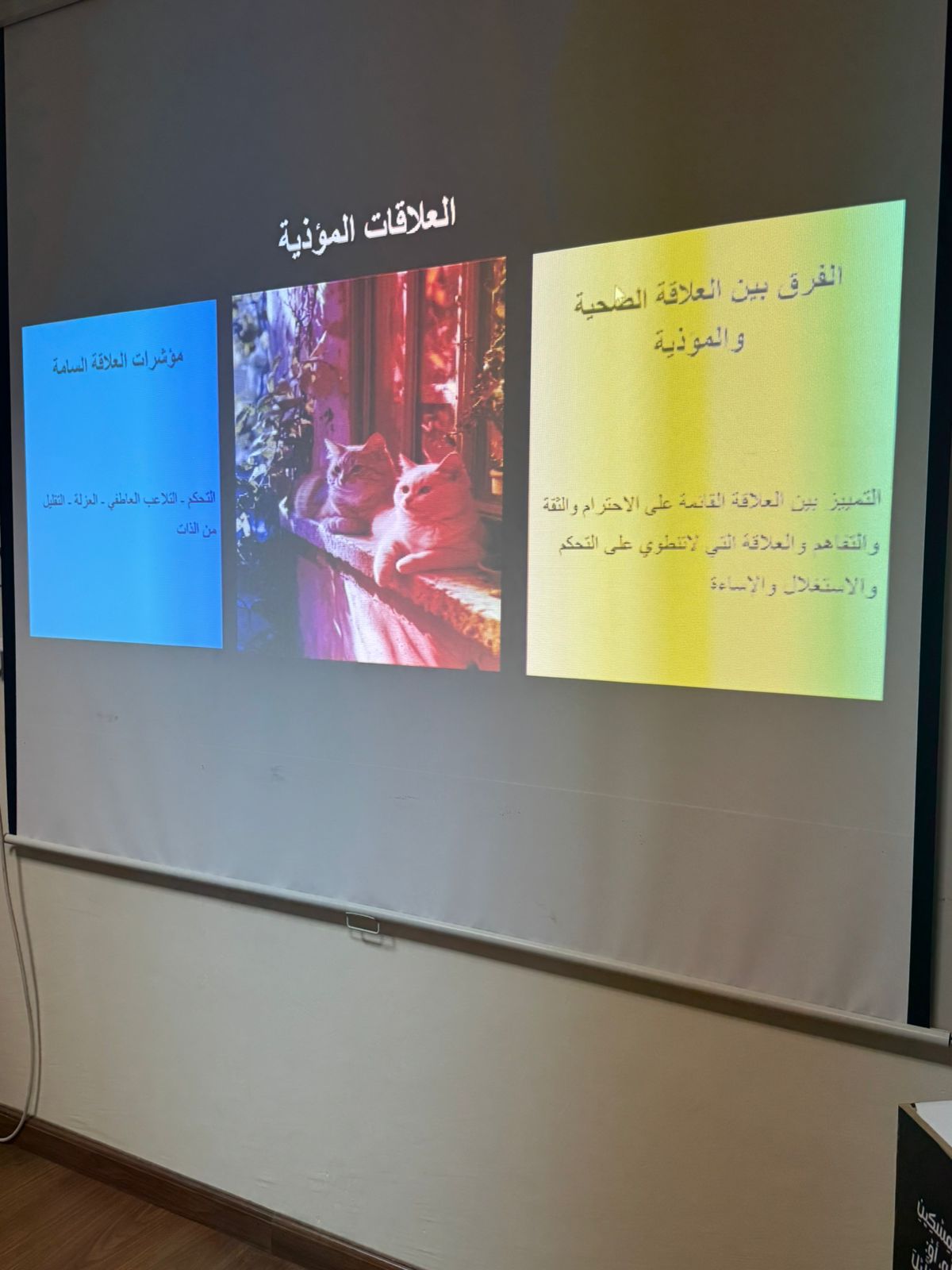 تعزيز الوعي بمخاطر العنف ضد المرأة عبر ورشة عمل نسائية تفاعلية