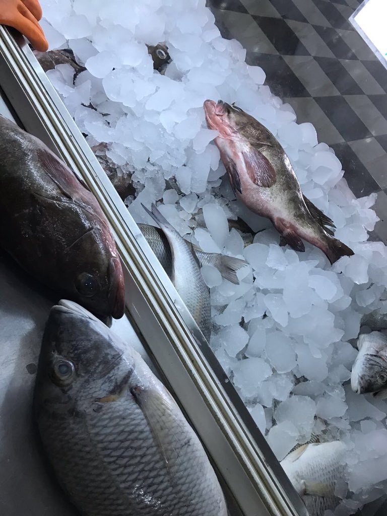 تفعيل إجراءات ضبط 403 كيلوغرامات من الأسماك الفاسدة في جازان