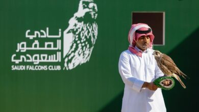 تنافس 308 صقور في أشواط الملاك بكأس نادي الصقور السعودي 2025