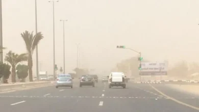 توقعات الطقس اليوم: هبوب رياح وغبار يؤثران على معظم المناطق