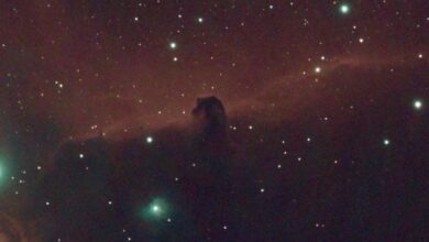 جمال سديم "رأس الحصان" وتأثيره على علوم الفلك في المملكة