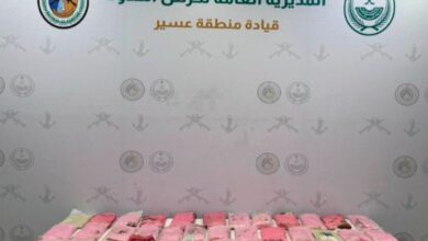حرس الحدود في عسير يواجه تهريب 59 كجم من الحشيش المخدر