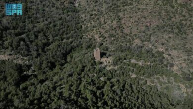 حصر غابات جديدة لتعزيز حماية البيئة والتنوع البيولوجي