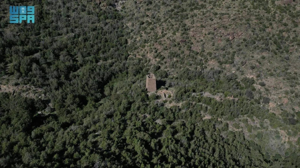 حصر غابات جديدة لتعزيز حماية البيئة والتنوع البيولوجي