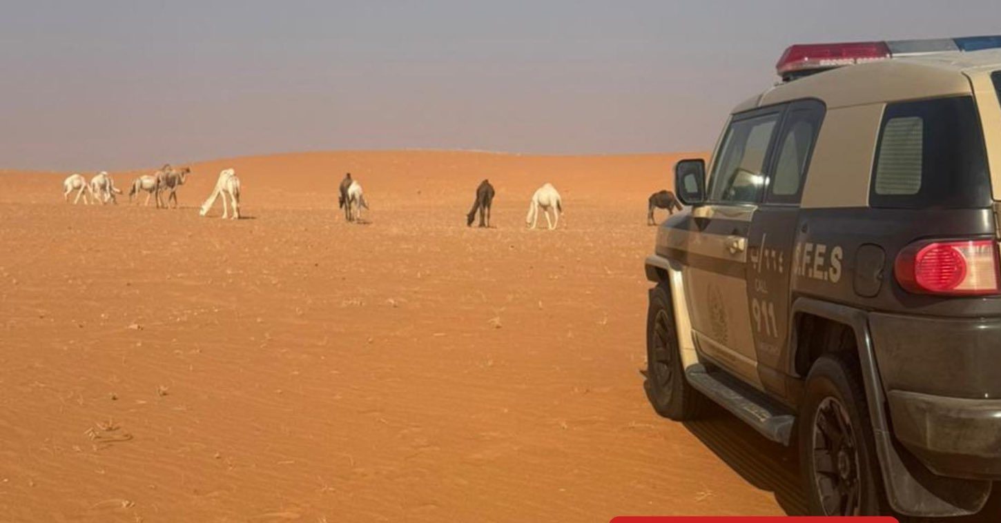 دراسات حول تأثير رعي الإبل في محمية الإمام عبدالعزيز البيئية