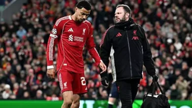 دراسة تأثيرات آلام الظهر على جودة الحياة اليومية للأفراد