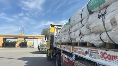 دور المساعدات الإنسانية السعودية في دعم غزة عبر منفذ رفح