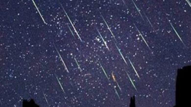 ذروة زخة شهب الثوريات تضئ سماء المملكة العربية السعودية الليلة