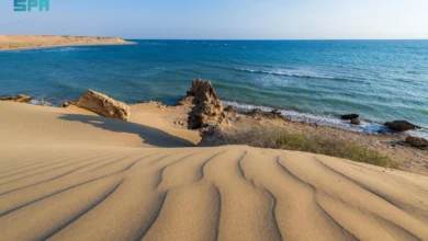 شاطئ الهرابة: دراسة تفصيلية لتنوع التكوينات الطبيعية والساحلية في الوجه