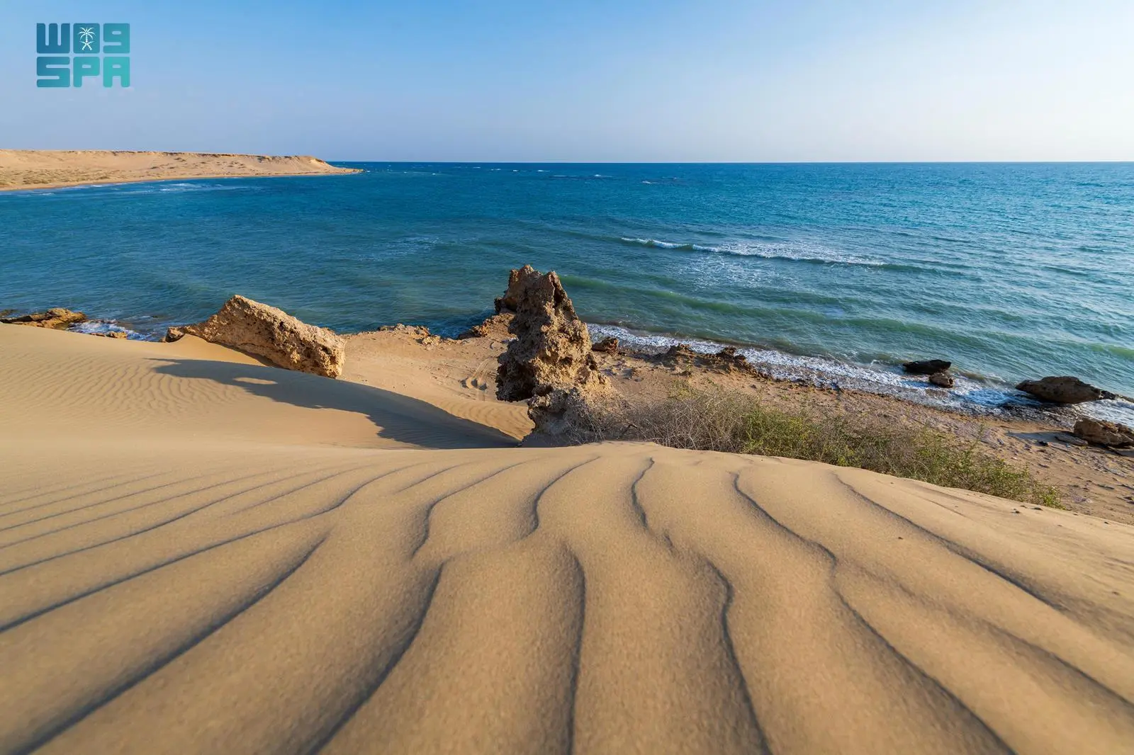 شاطئ الهرابة: دراسة تفصيلية لتنوع التكوينات الطبيعية والساحلية في الوجه