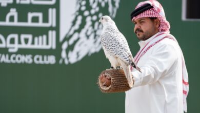 صقور المحترفين تتألق في نهائيات كأس نادي الصقور السعودي 2025