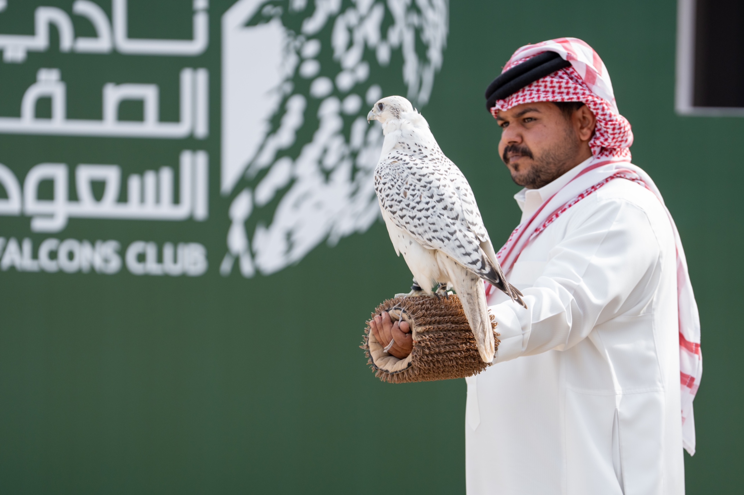 صقور المحترفين تتألق في نهائيات كأس نادي الصقور السعودي 2025