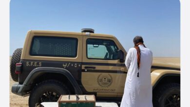 صيد غير مرخص: ضبط مواطن يحمل صقرًا وثلاثة كائنات نادرة في ينبع