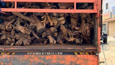 ضبط خمسة مواطنين بتهمة بيع الحطب المحلي في القصيم