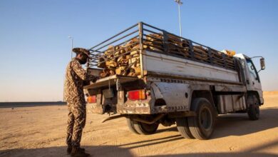 ضبط متهم يتاجر بالحطب المحلي في حائل