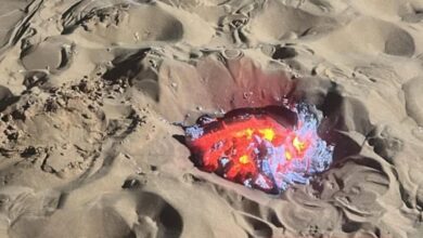 ضبط مخالف للأمن البيئي إثر إشعال النار في محمية الإمام عبدالعزيز