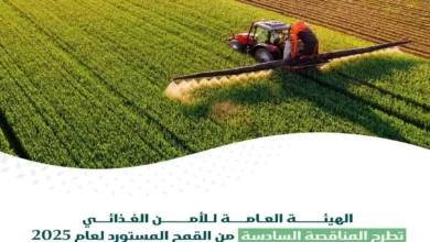 طرح المناقصة السادسة لاستيراد 300 ألف طن من القمح في 2023