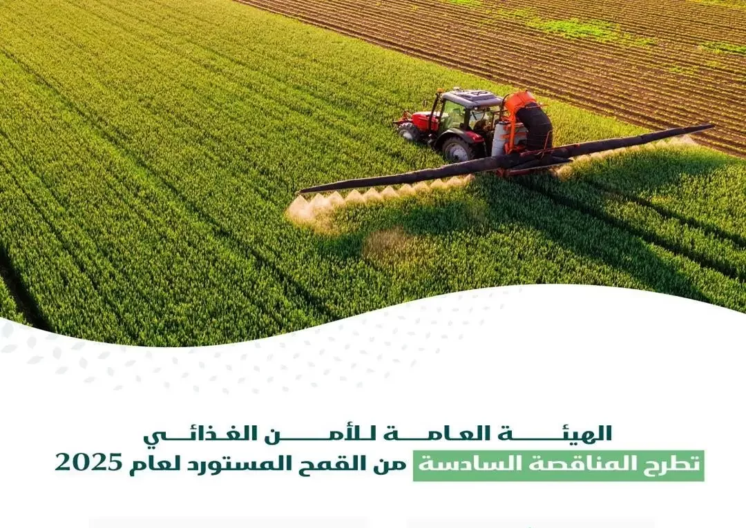 طرح المناقصة السادسة لاستيراد 300 ألف طن من القمح في 2023