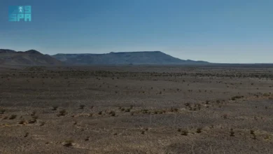 عالية نجد: تراث حضاري وجغرافي يتجسد عبر الزمن