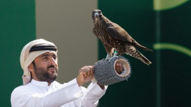 كأس نادي الصقور 2025: اختتام ملواح النخبة بأشواط مميزة