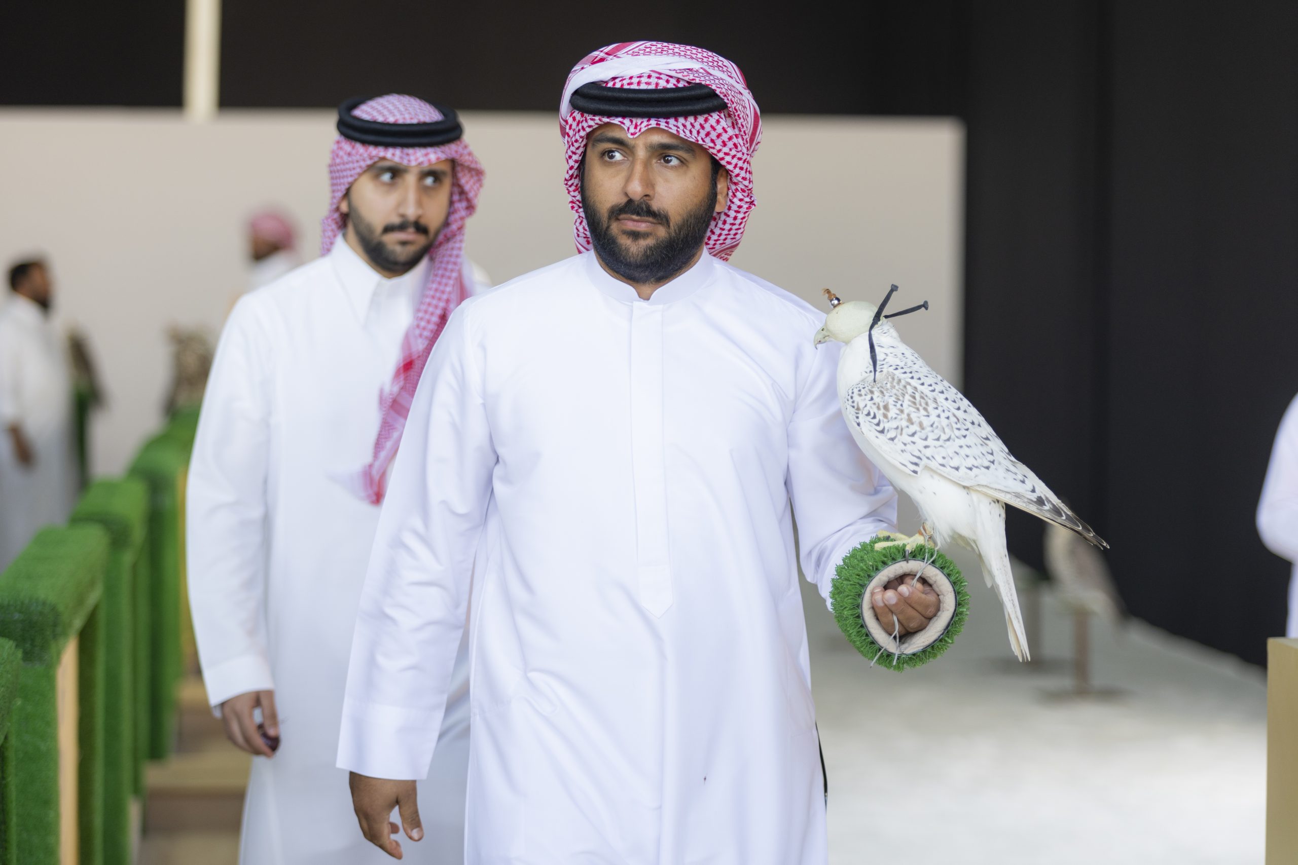 كأس نادي الصقور 2025: تعزيز مشاركة الصقارين في مهرجان الملك عبدالعزيز