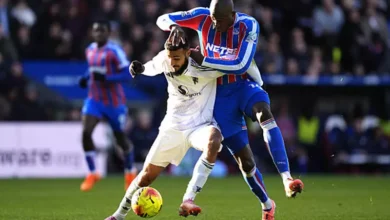 مانشستر يونايتد يتفوق على كريستال بالاس بريمونتادا تاريخية في الدوري الإنجليزي