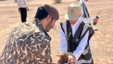 مبادرة تشجير حائل: خطوة نحو الأمن البيئي المستدام