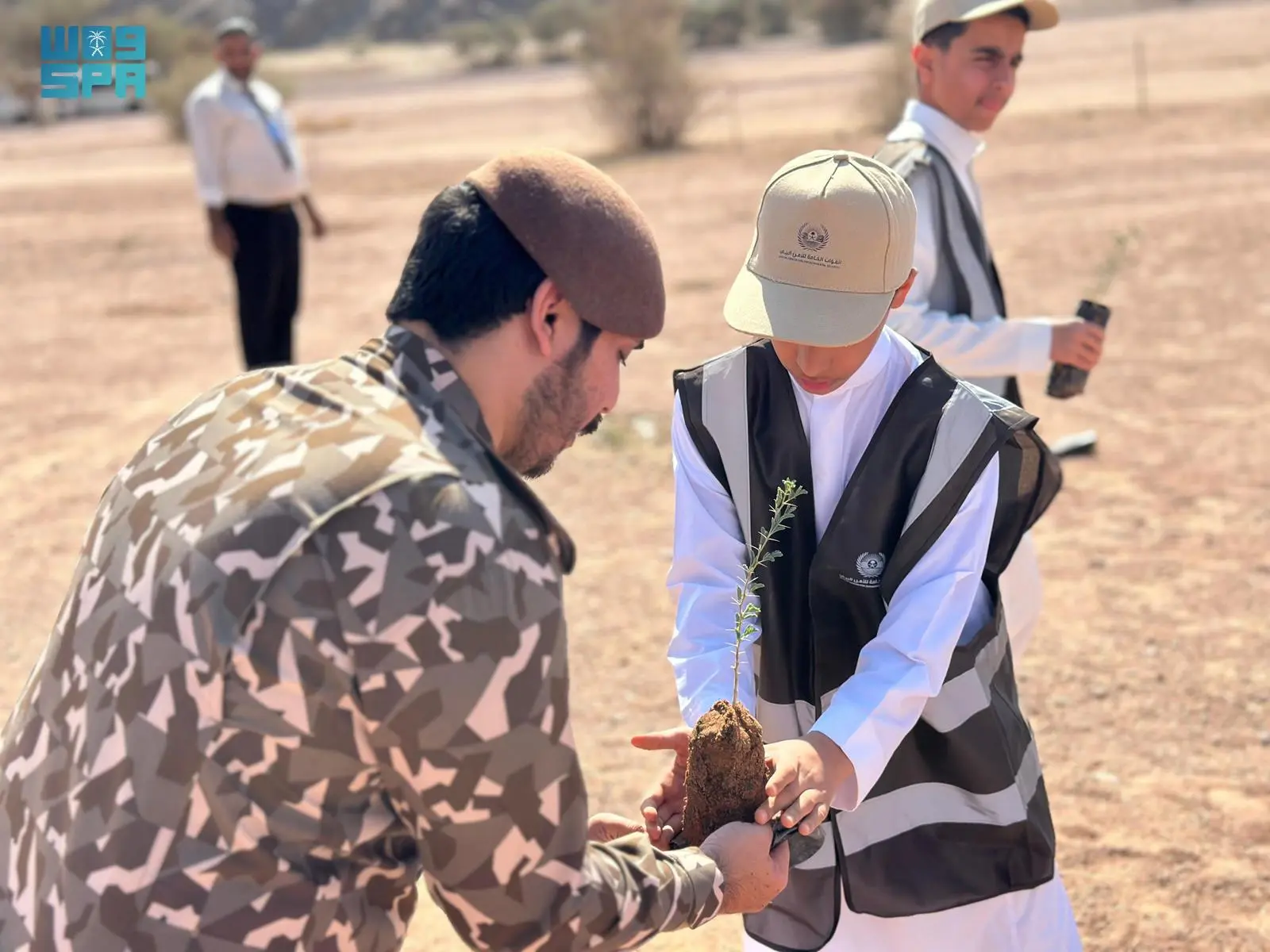 مبادرة تشجير حائل: خطوة نحو الأمن البيئي المستدام