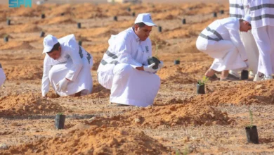 مبادرة زراعة 3000 شتلة في محمية الملك سلمان الملكية لتعزيز البيئة المستدامة