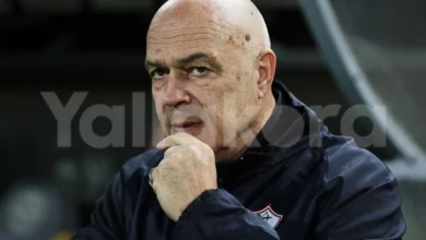 مصدر يوضح رفع قيد الزمالك بشرط دفع مستحقات جروس