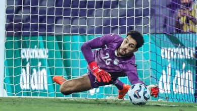 مفاجآت مصطفى شوبير وتأثيرها على الدورة الرياضية الوطنية