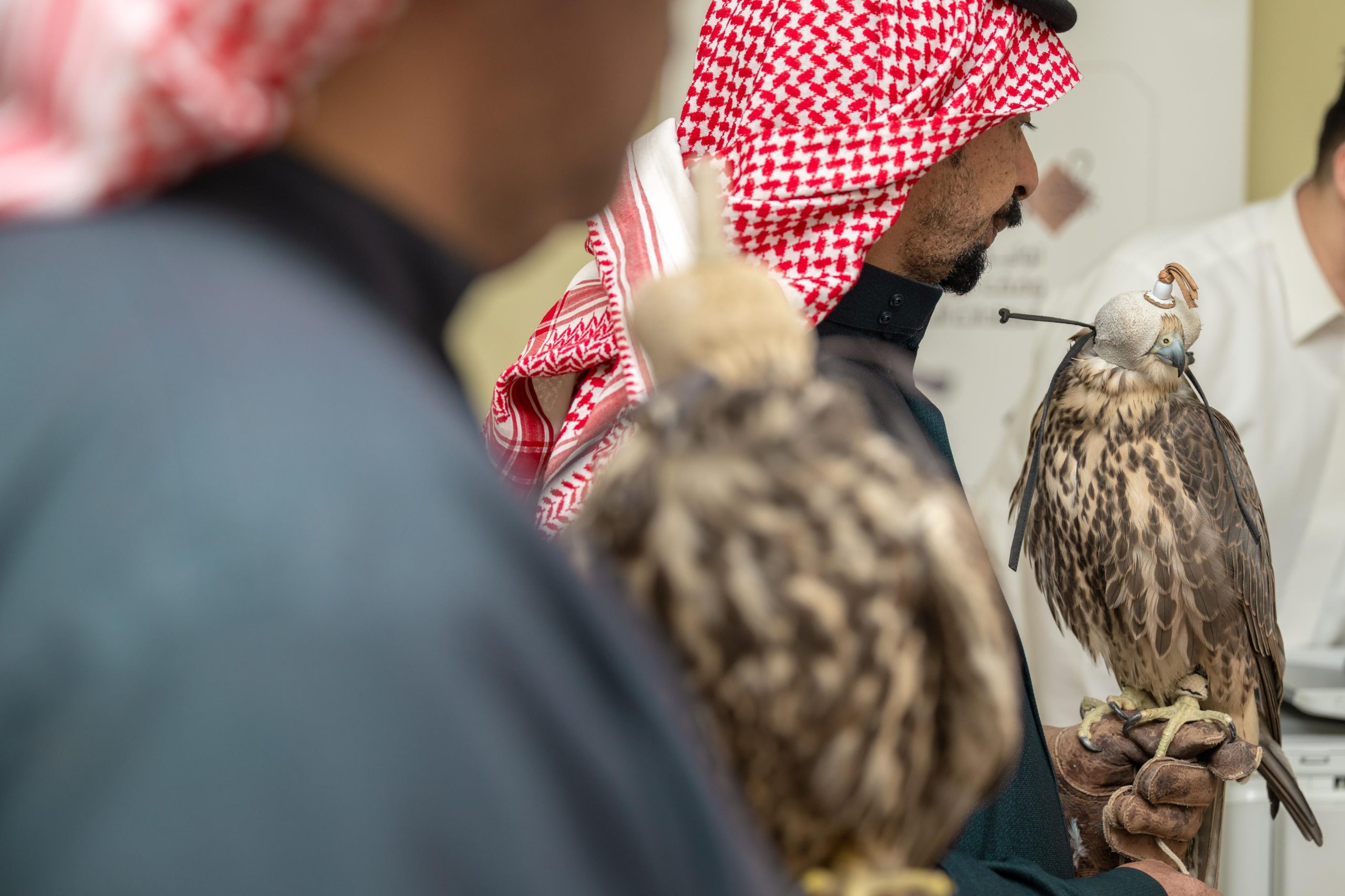 نادي الصقور يعزز جهوده في تصحيح أوضاع الصقور وتوثيق الملكيات عبر جولاته الميدانية