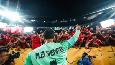 نظرة تحليلية على إنجازات محمد الشناوي مع الأهلي في عامه التاسع 2025