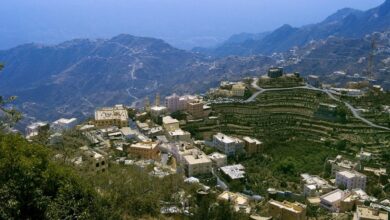 استراتيجيات مبتكرة لتعزيز الأمن الغذائي في جازان: أربعة فرص استثمارية رئيسية