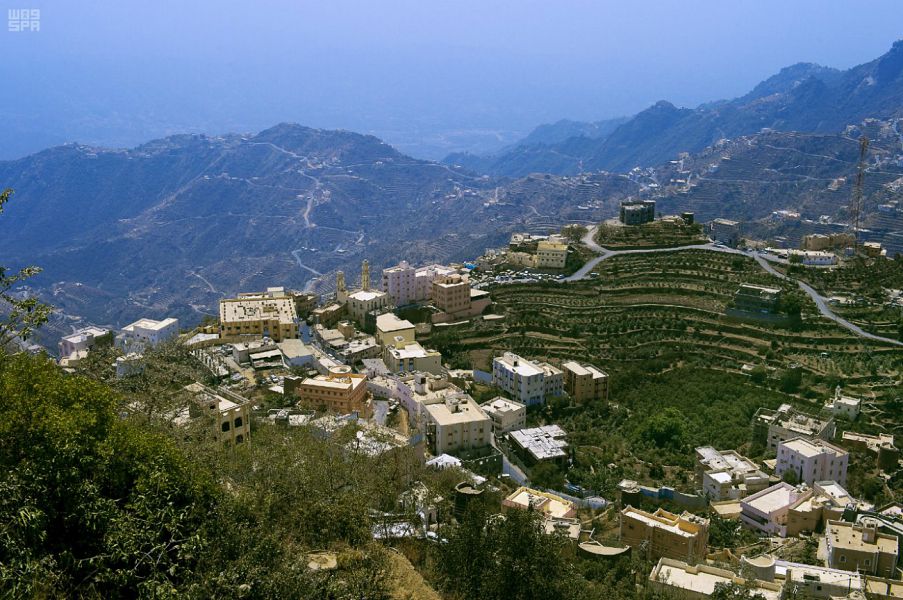 استراتيجيات مبتكرة لتعزيز الأمن الغذائي في جازان: أربعة فرص استثمارية رئيسية