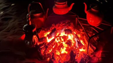 استقصاء تأثير حرائق المواطنيين في محمية الملك عبدالعزيز على البيئة المحلية