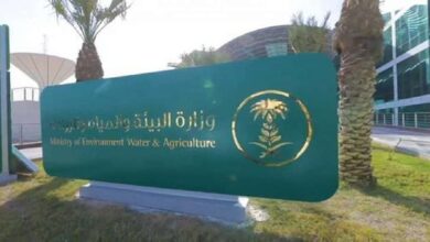 الاستدامة البيئية: دور الحد من الرعي الجائر في حماية الغطاء النباتي والموارد الطبيعية