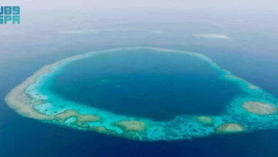 الثقوب الزرقاء في البحر الأحمر: استكشاف الظواهر البحرية وأهميتها البيئية