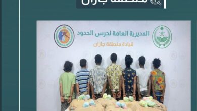 الجهود الأمنية في جازان: إلقاء القبض على شبكة تهريب قات بوزن 140 كيلوغراماً
