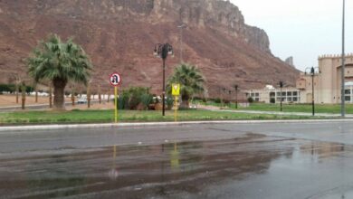 تأثير الأحوال الجوية على النشاط الزراعي في محافظة العُلا