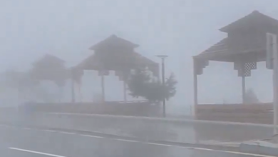 تأثيرات الموجات الضبابية الكثيفة على المنطقة الشرقية وتأثيراتها البيئية