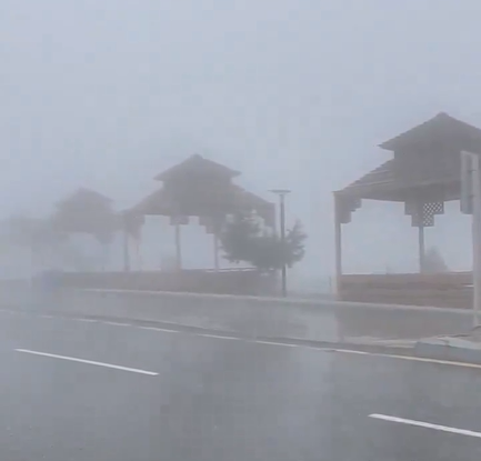 تأثيرات الموجات الضبابية الكثيفة على المنطقة الشرقية وتأثيراتها البيئية