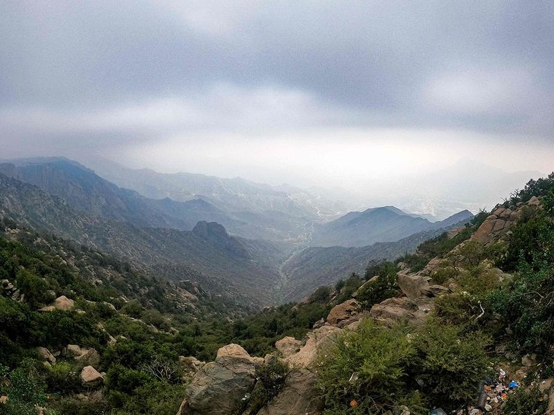 تحليل تأثير موجات الضباب على المناخ والبيئة في المنطقة الشرقية