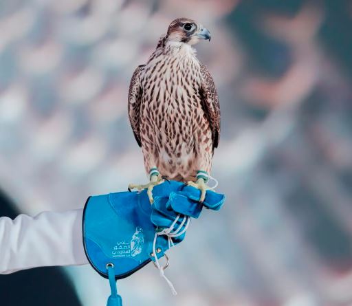 تحليل سوق مزادات نادي الصقور السعودي 2025 وتأثيره على الاقتصاد المحلي