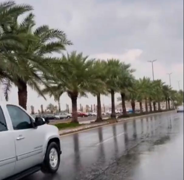 تنبيه هام: حالة مطرية تستمر لعدة ساعات في المدينة المنورة