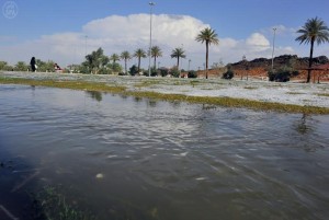 توقعات الطقس: أمطار ورياح قوية تضرب حائل